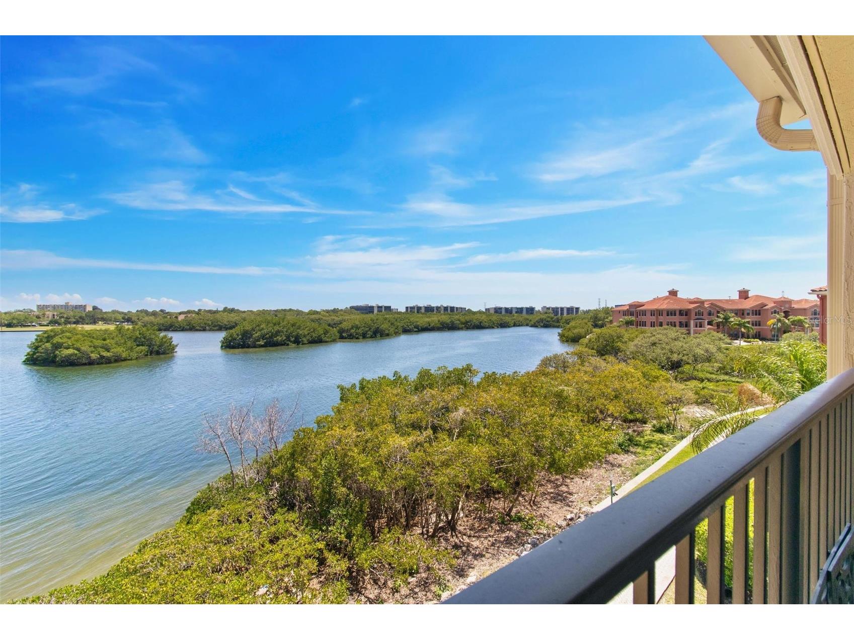 2739 Via Capri #1039 Clearwater FL 33764 - OLD TAMPA BAY TB8479350 image1