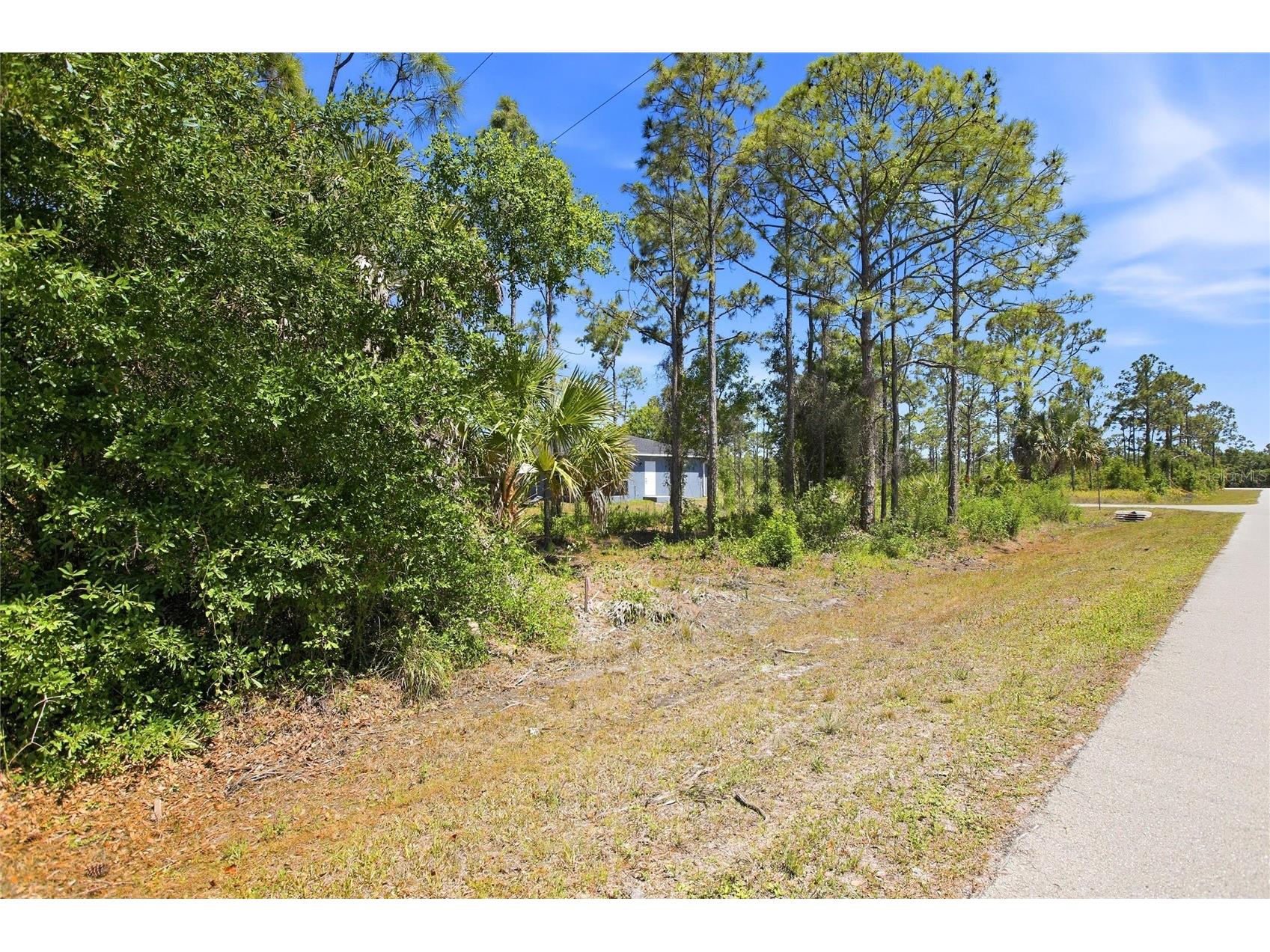 27396 Corinthian Dr Punta Gorda FL 33955 O6401817 image3