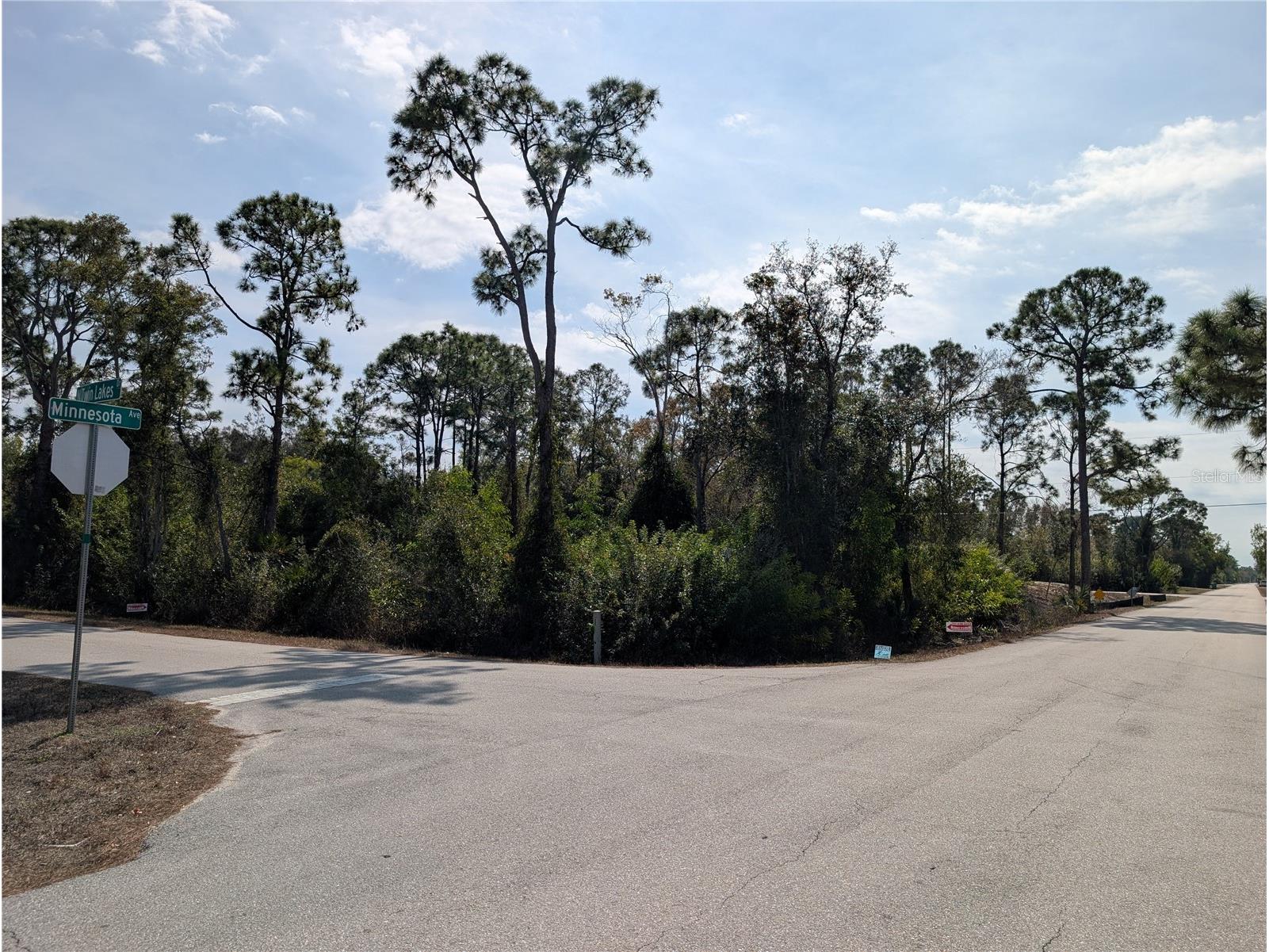 27399 N Twin Lakes Drive Punta Gorda FL 33955 TB8479272 image1