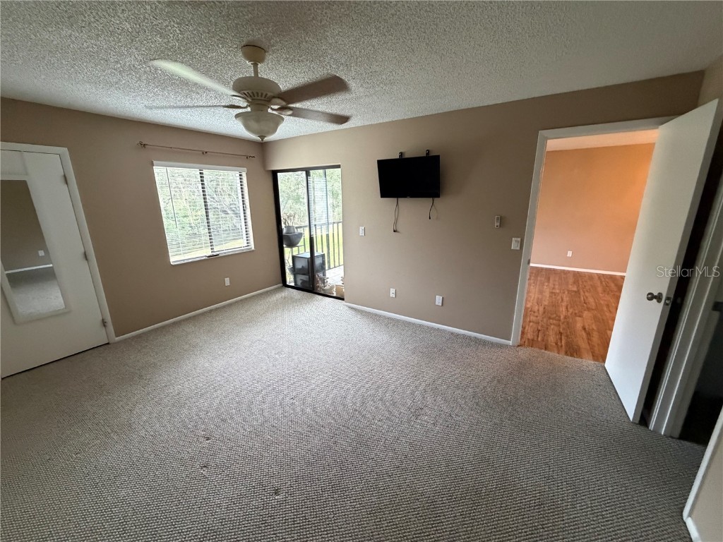 274 Cypress Lane Oldsmar FL 34677 W7881330 image14