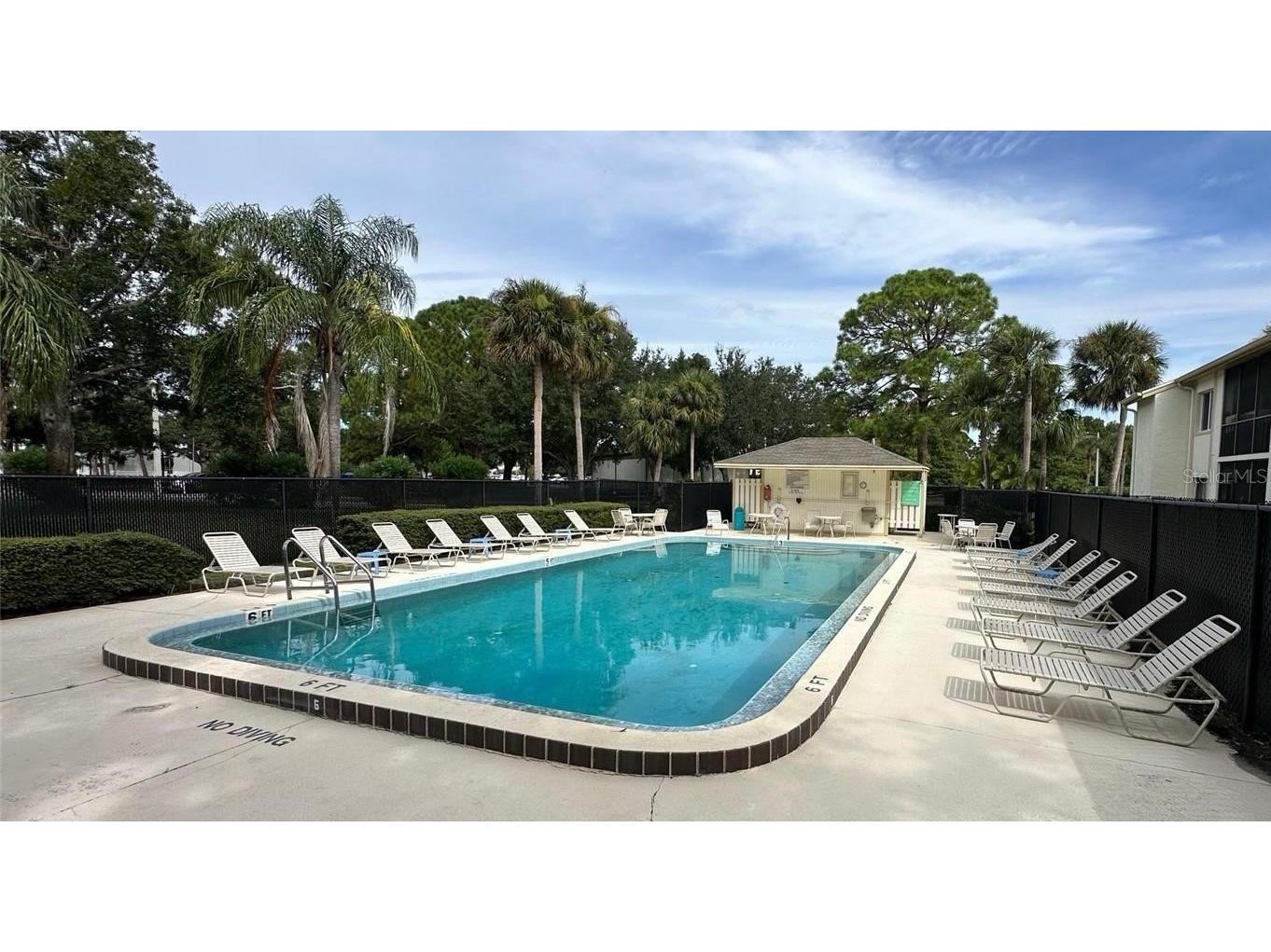 274 Cypress Lane Oldsmar FL 34677 W7881330 image18