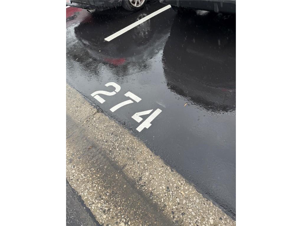 274 Cypress Lane Oldsmar FL 34677 W7881330 image19