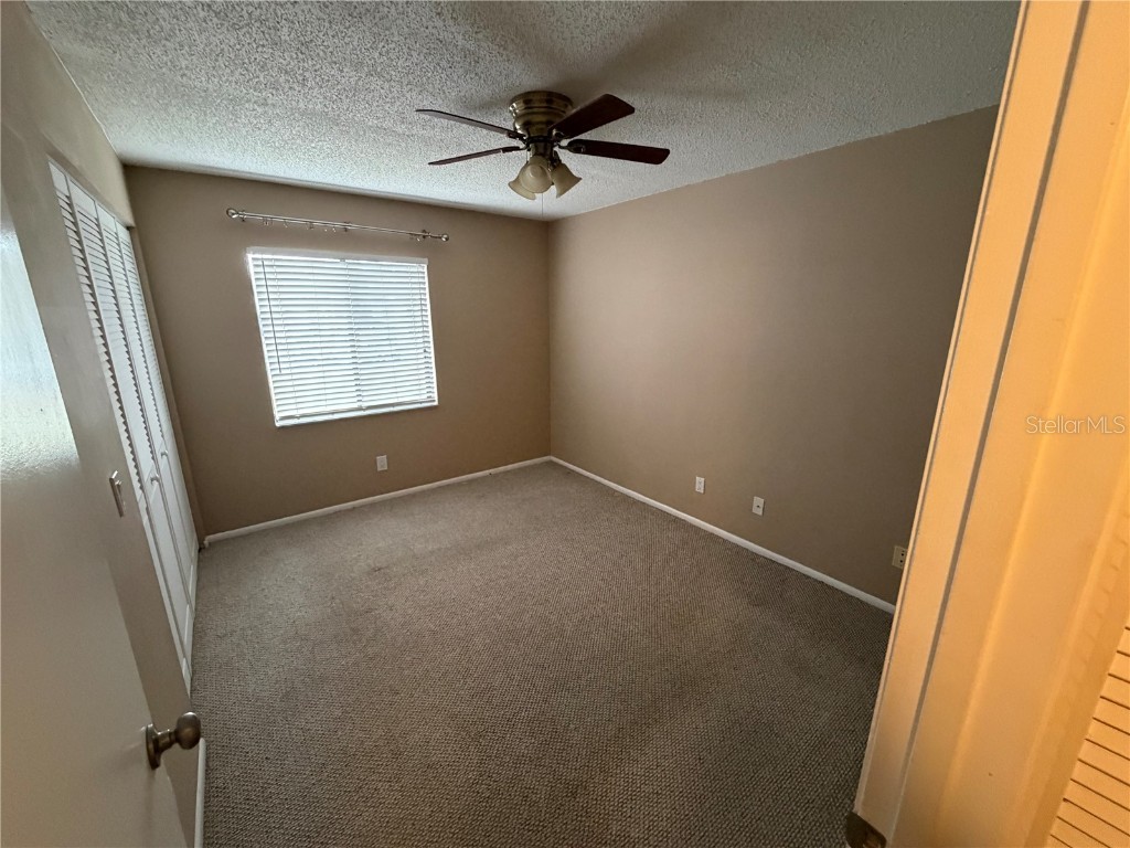 274 Cypress Lane Oldsmar FL 34677 W7881330 image6