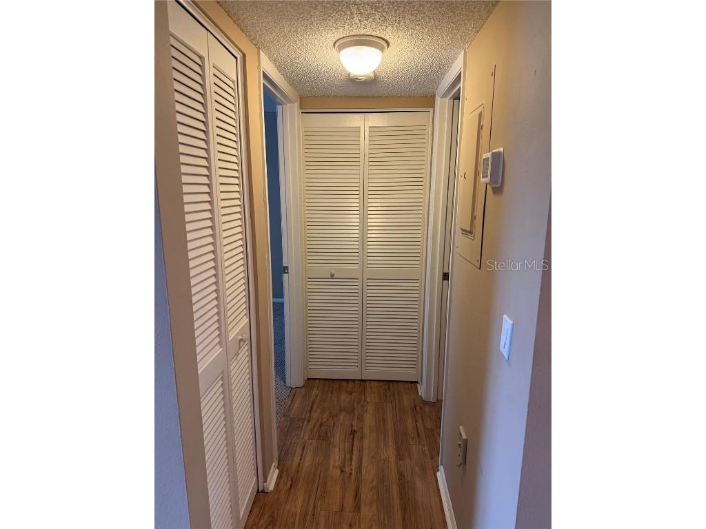 274 Cypress Lane Oldsmar FL 34677 W7881330 image9