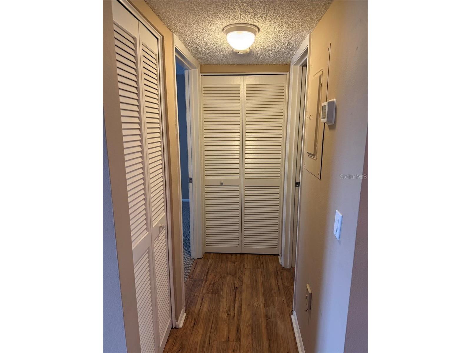 274 Cypress Lane Oldsmar FL 34677 W7884473 image12