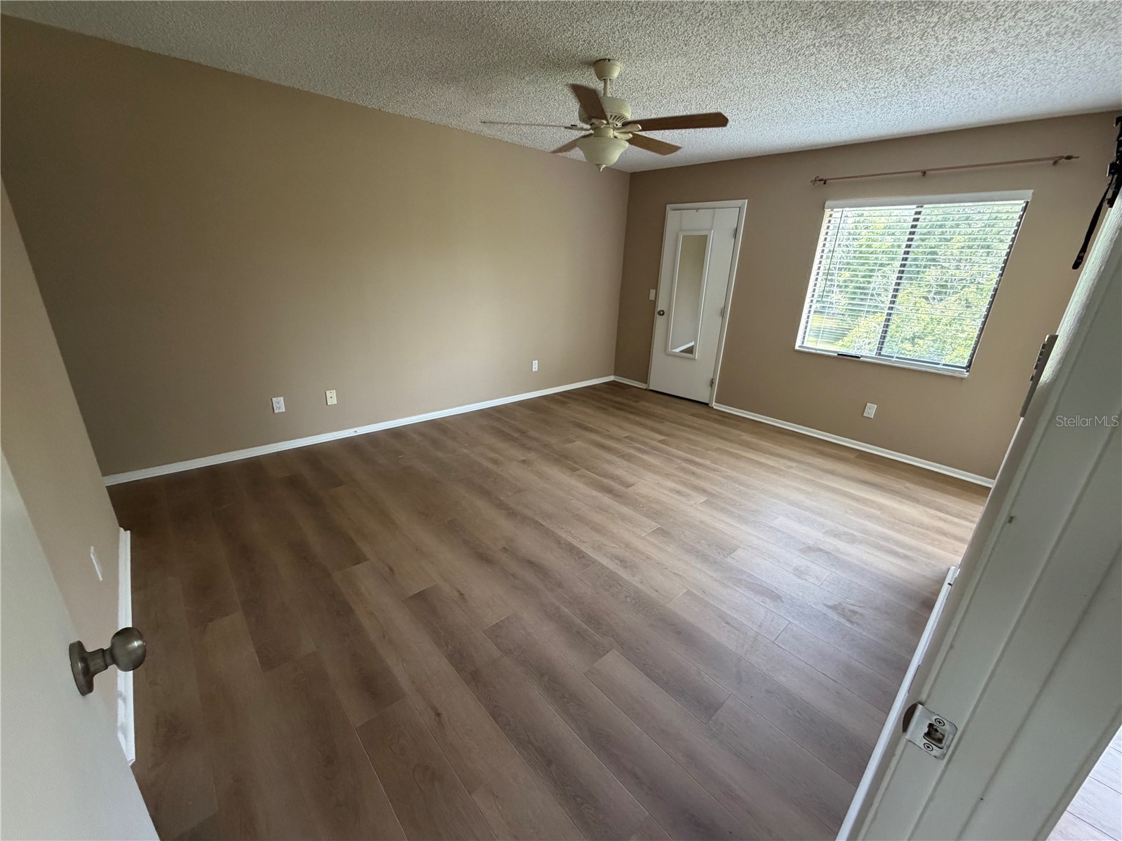 274 Cypress Lane Oldsmar FL 34677 W7884473 image7