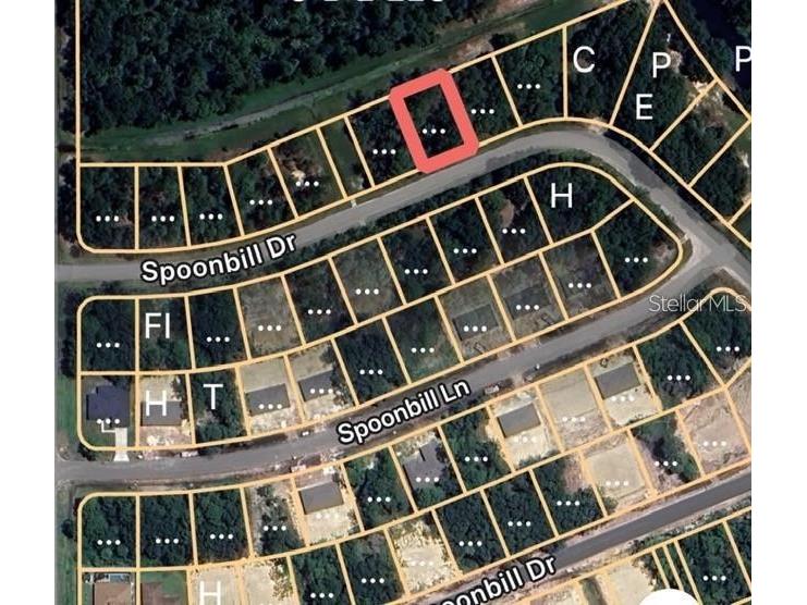 274 Spoonbill Drive Kissimmee FL 34759 OM721641 image4