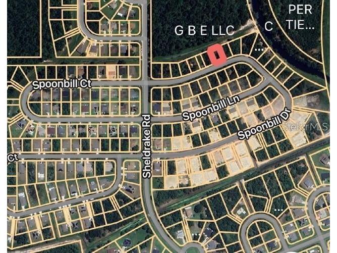 274 Spoonbill Drive Kissimmee FL 34759 OM721641 image5