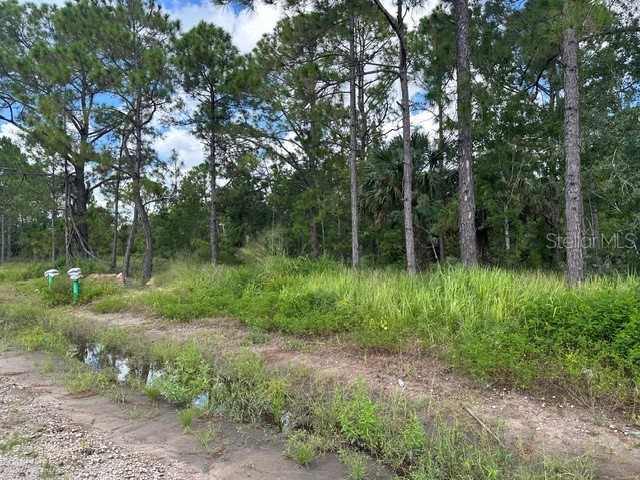 274 Spoonbill Drive Poinciana FL 34759 OM713646 image2