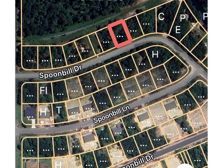 274 Spoonbill Drive Poinciana FL 34759 OM713646 image4