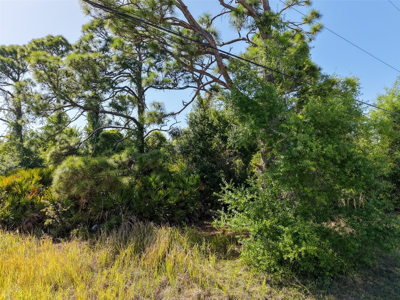 274 Sweetwater Drive Rotonda West FL 33947 C7524370 image12