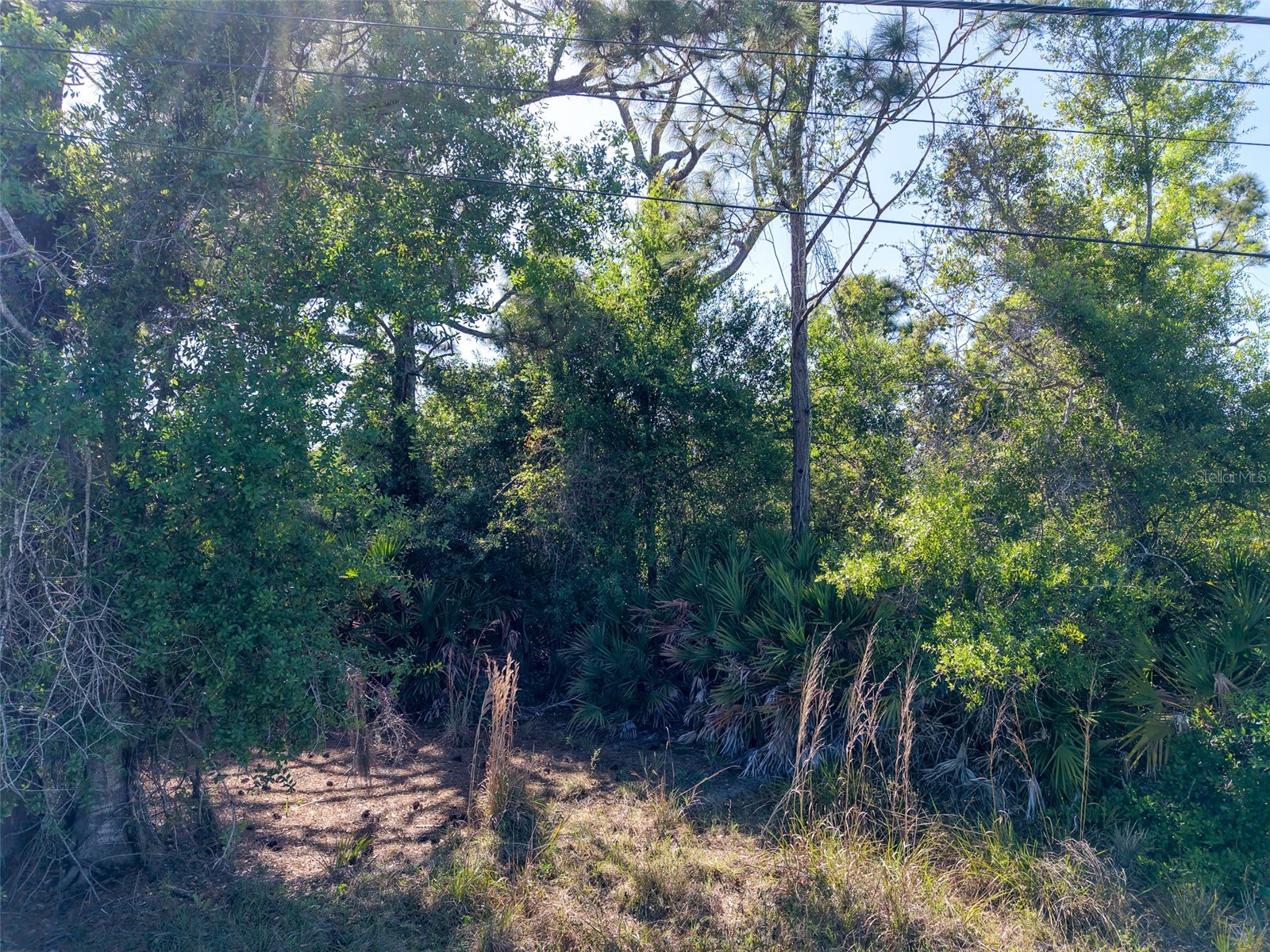 274 Sweetwater Drive Rotonda West FL 33947 C7524370 image13