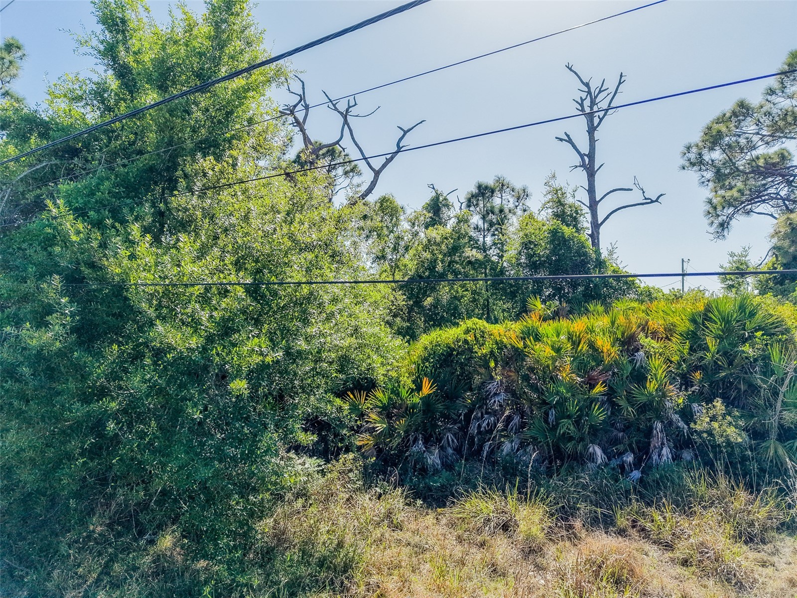 274 Sweetwater Drive Rotonda West FL 33947 C7524370 image14