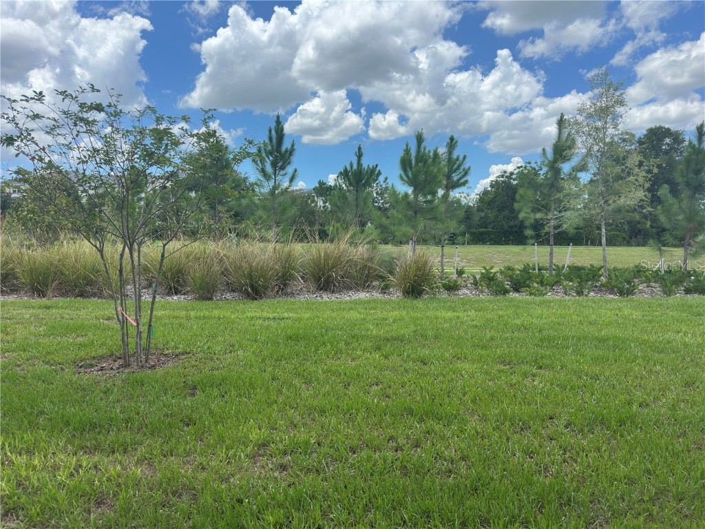 274 Thompson Village Avenue Apopka FL 32703 O6330991 image15