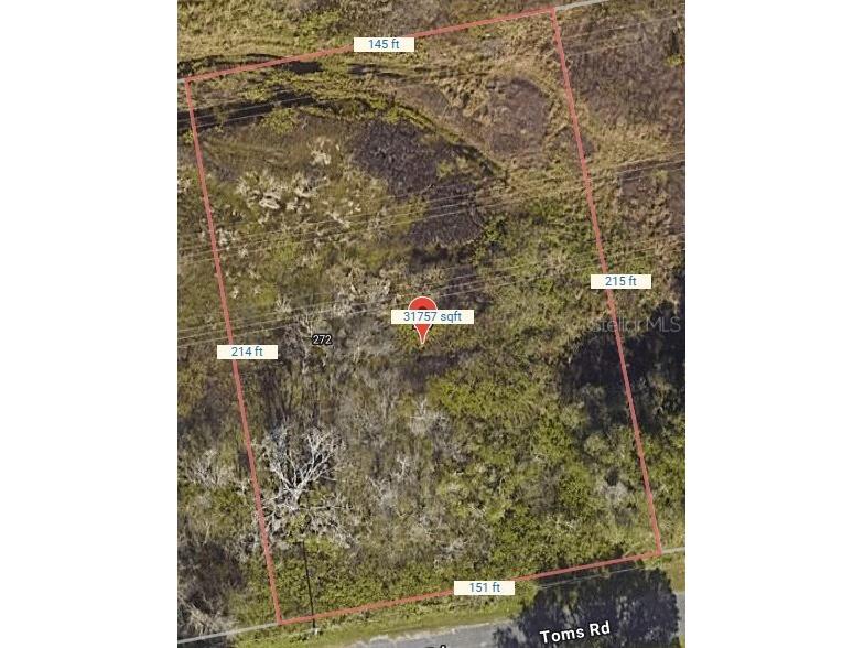 274 Toms Road Debary FL 32713 O6271735 image2