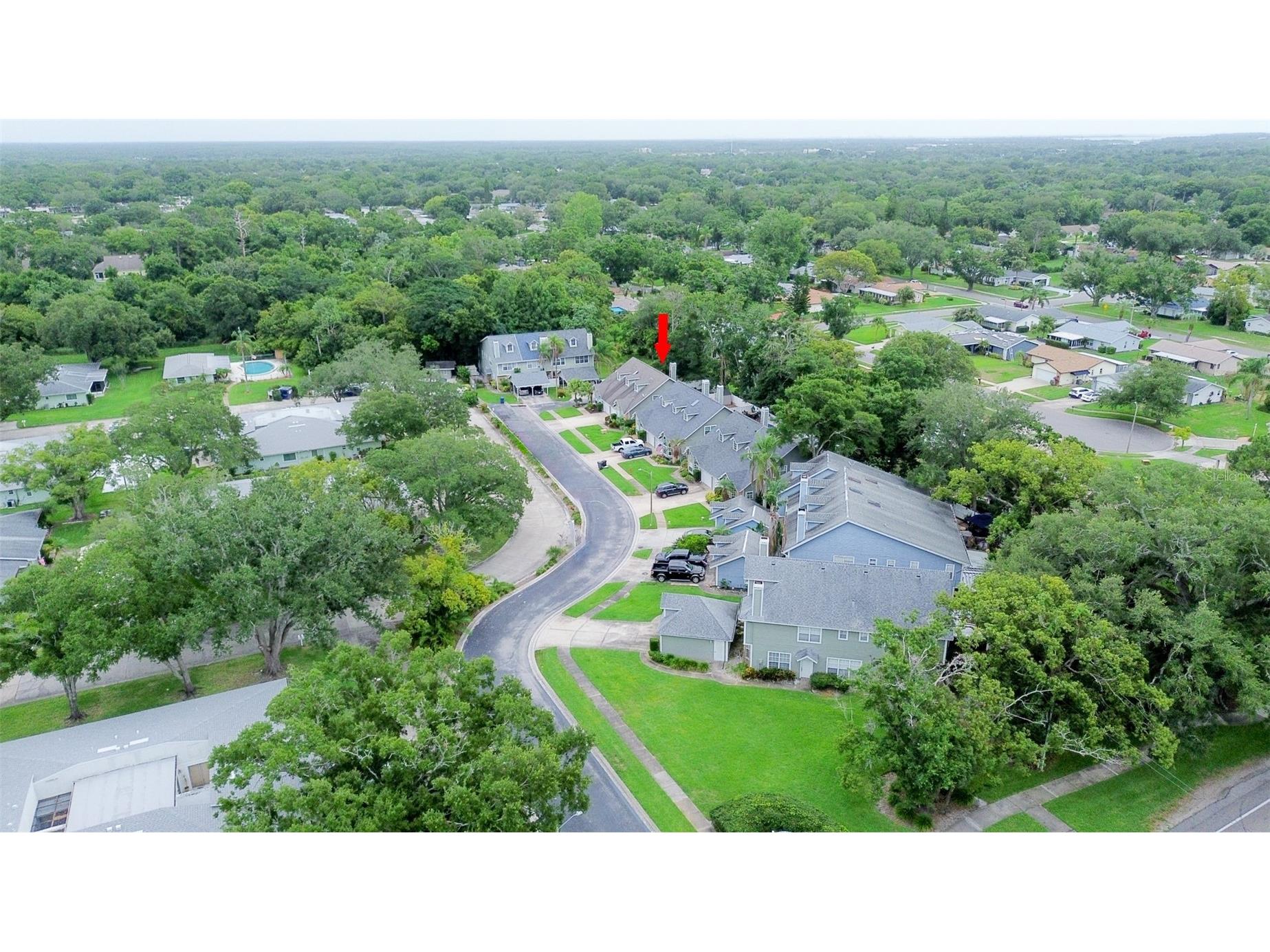 2740 Hamble Village Lane Palm Harbor FL 34684 TB8513520 image2