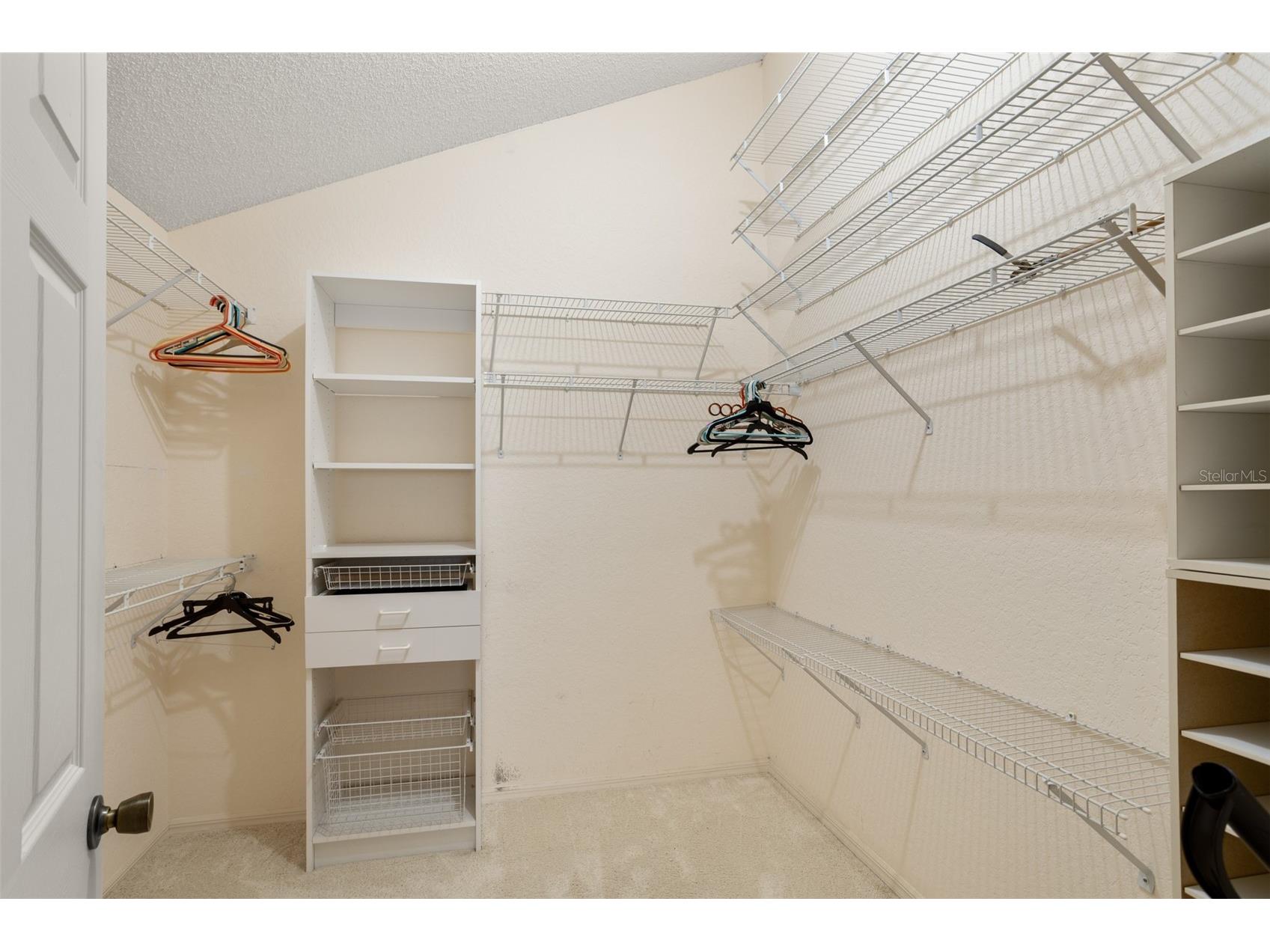 2740 Hamble Village Lane Palm Harbor FL 34684 TB8513520 image27