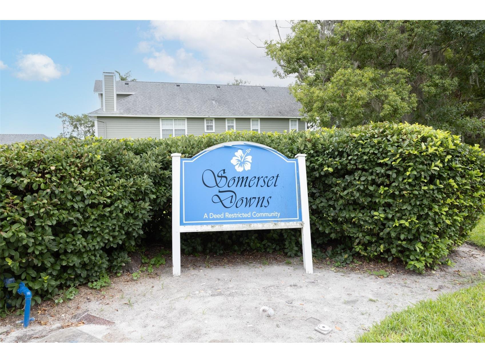 2740 Hamble Village Lane Palm Harbor FL 34684 TB8513520 image4