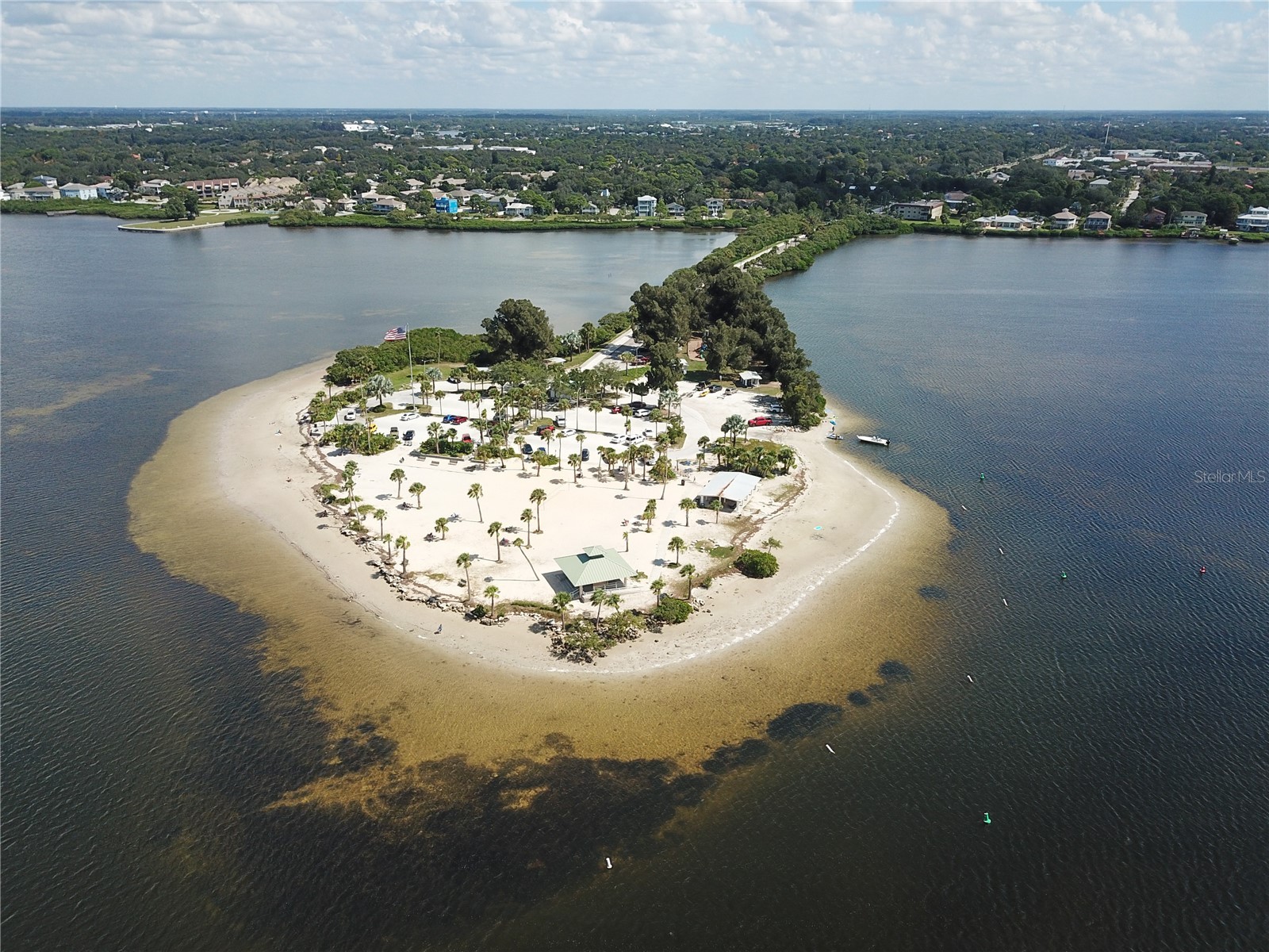 2740 Hamble Village Lane Palm Harbor FL 34684 TB8513520 image49