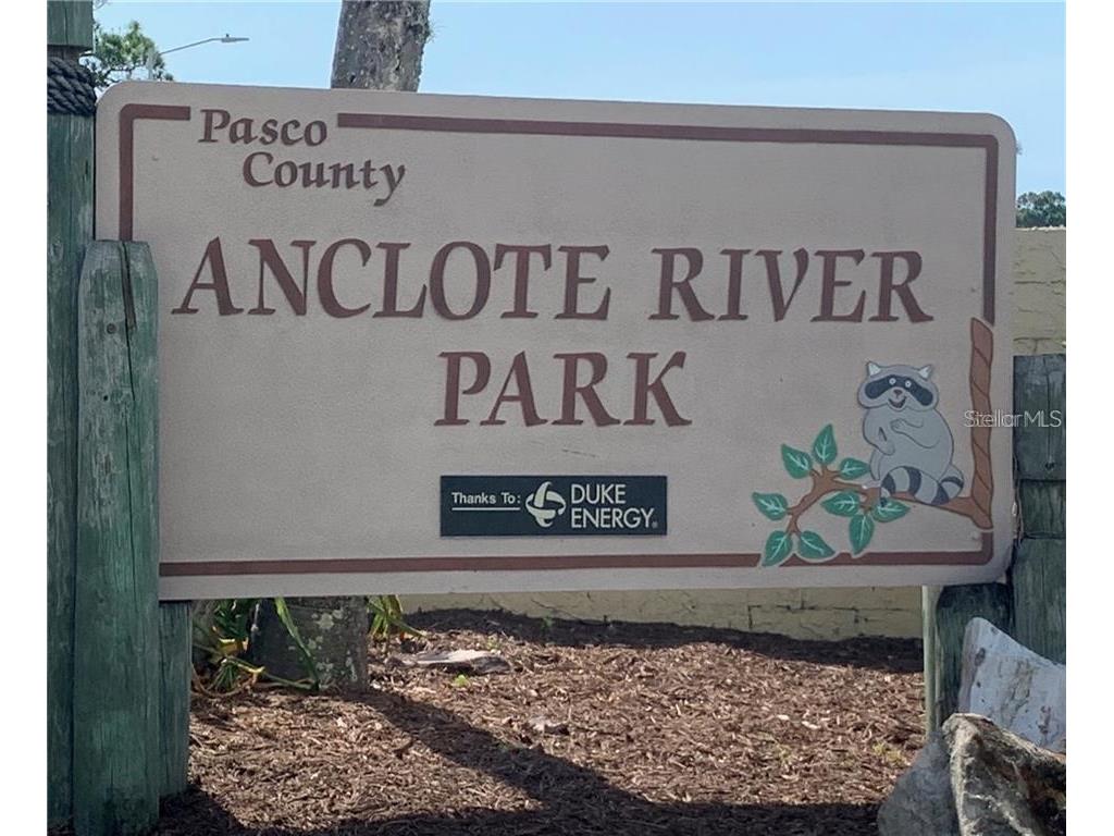2740 Hamble Village Lane Palm Harbor FL 34684 TB8513520 image61
