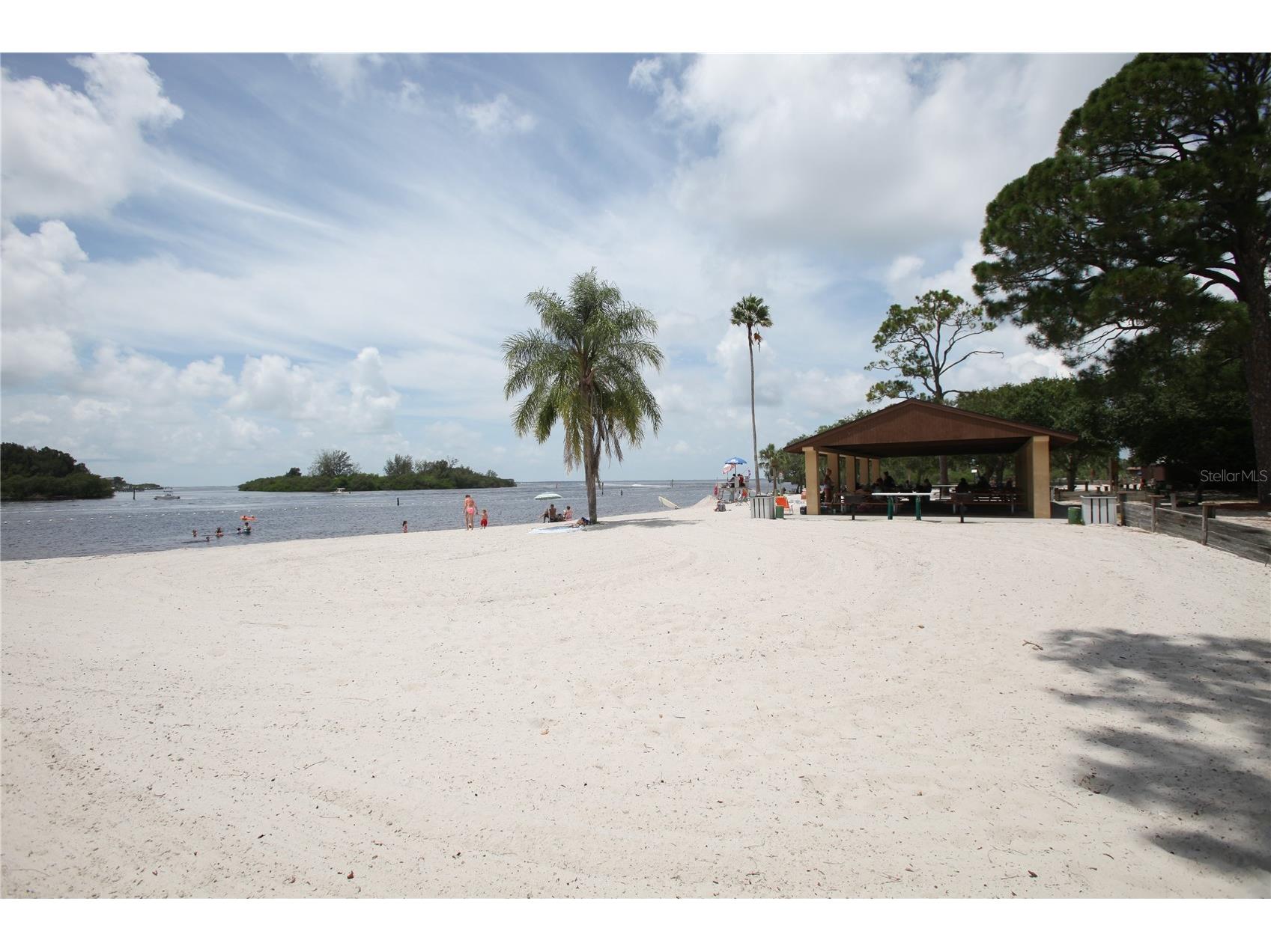 2740 Hamble Village Lane Palm Harbor FL 34684 TB8513520 image65