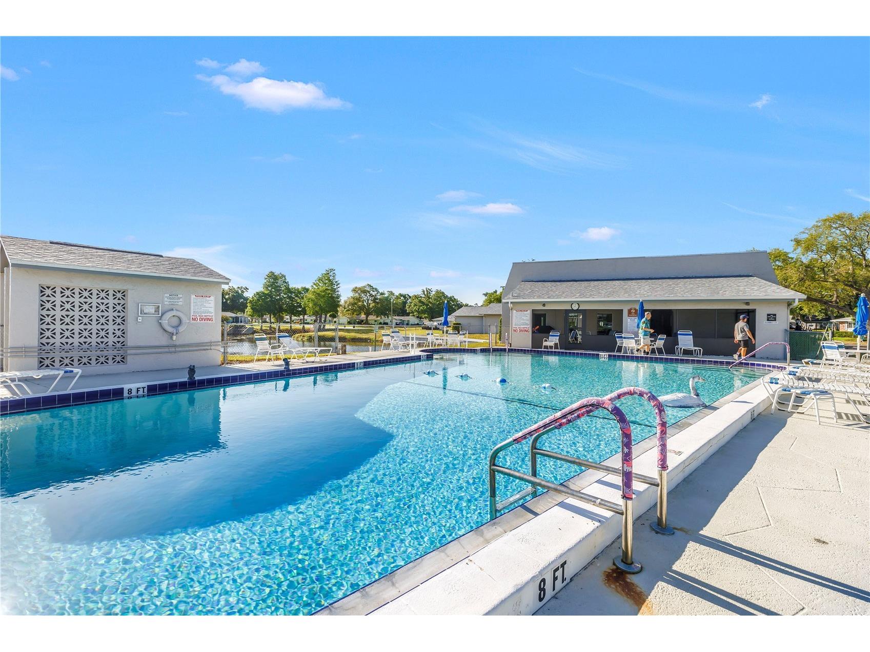 2740 Highlands Boulevard #B Palm Harbor FL 34684 - LAKE TARPON TB8502417 image30