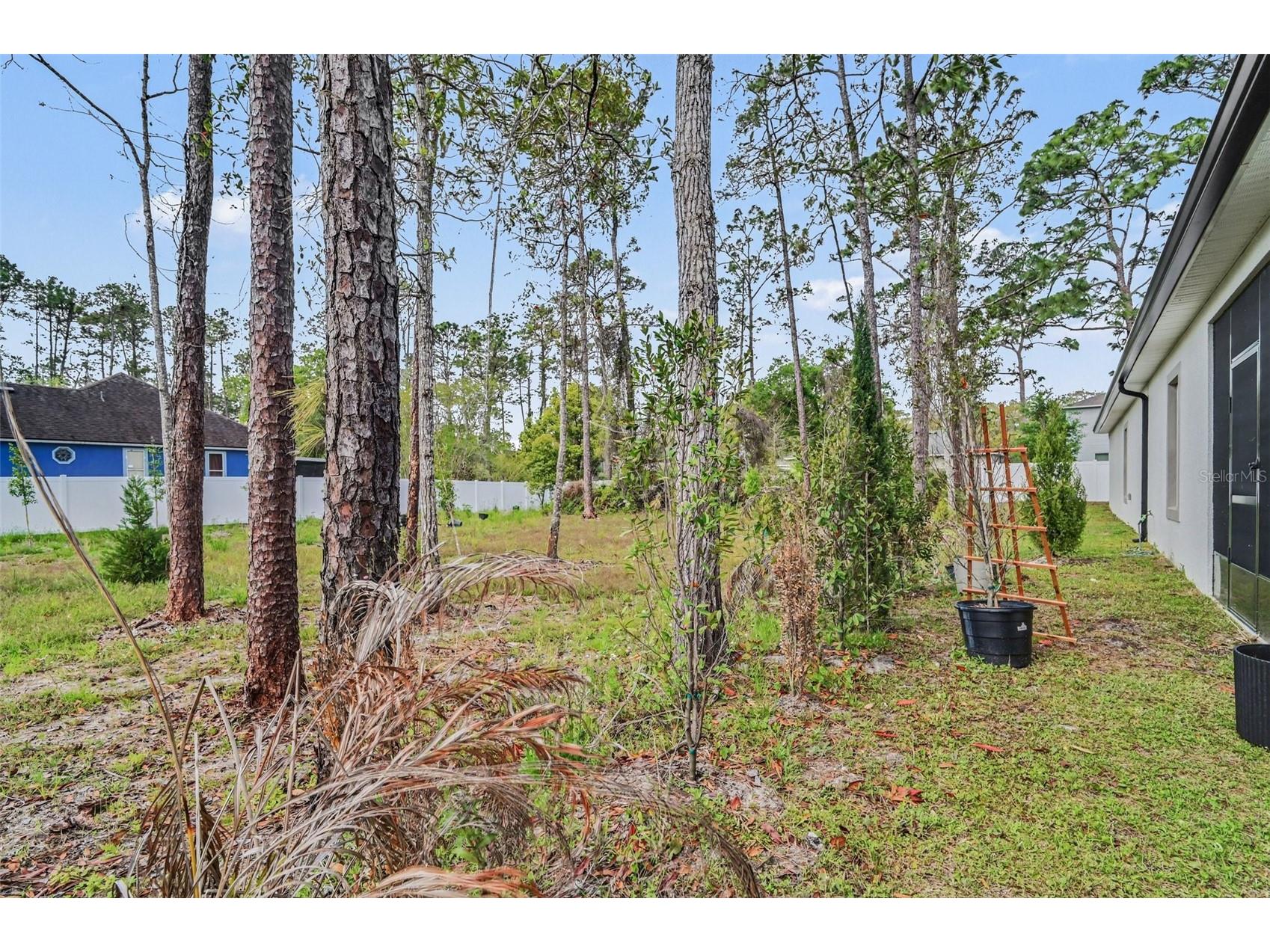 2740 Iris Road Deland FL 32724 FC317260 image25