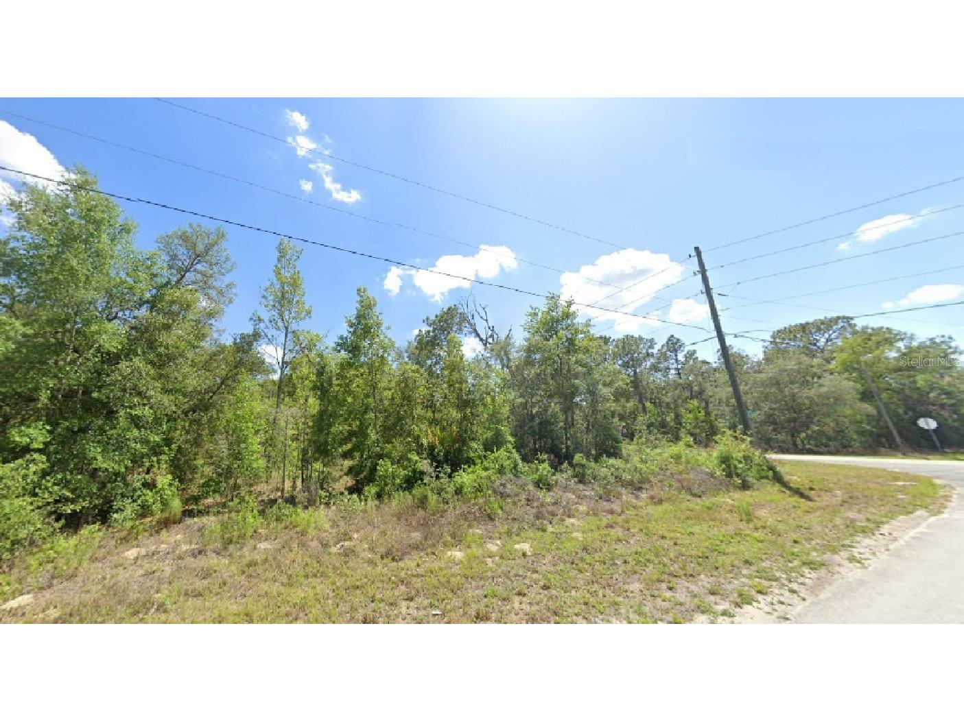 2740 W Dellwood Street Citrus Springs FL 34434 O6147355 image1