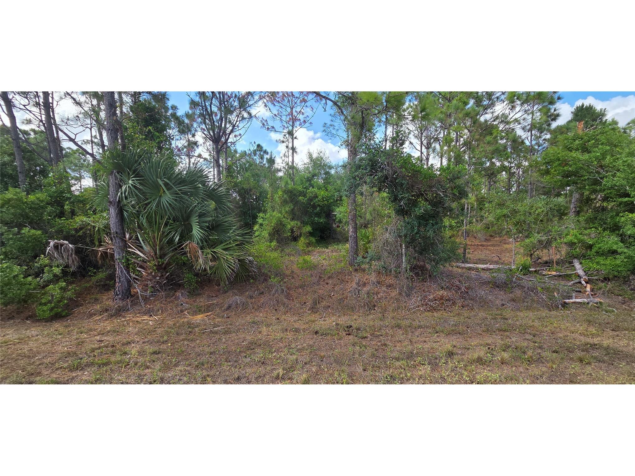 27402 Mandalay Drive Punta Gorda FL 33955 C7526271 image4