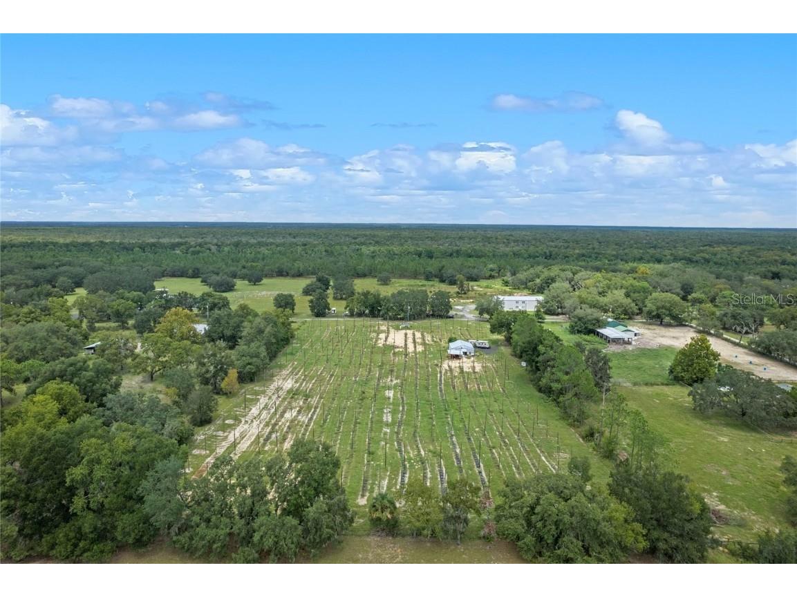 27404 Blackwater Court Eustis FL 32736 G5073875 image1
