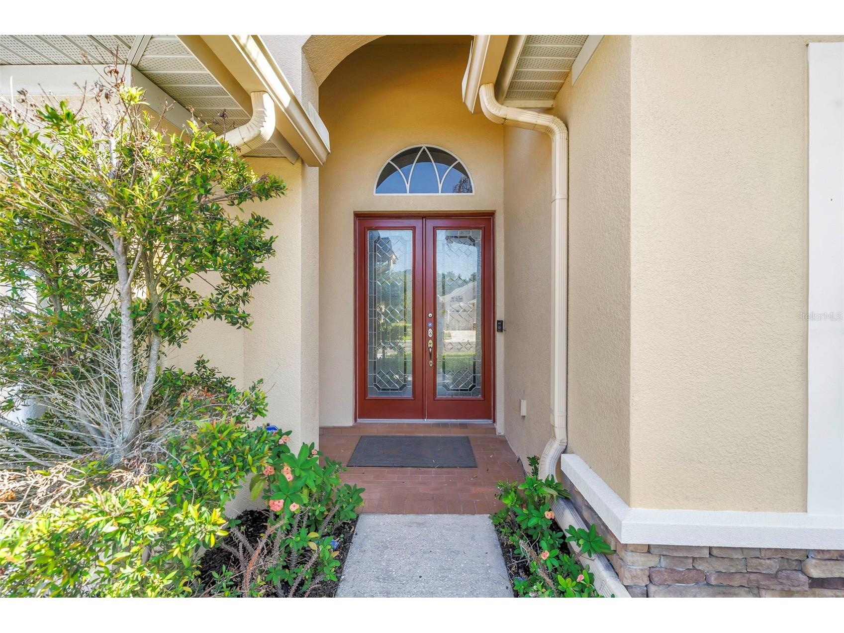 27405 Sora Boulevard Wesley Chapel FL 33544 W7887326 image18