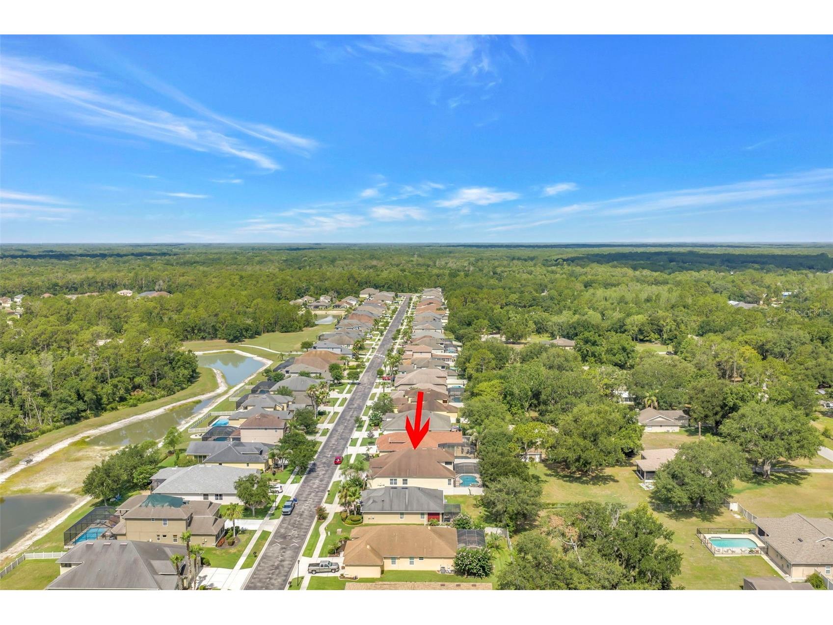 27405 Sora Boulevard Wesley Chapel FL 33544 W7887326 image37