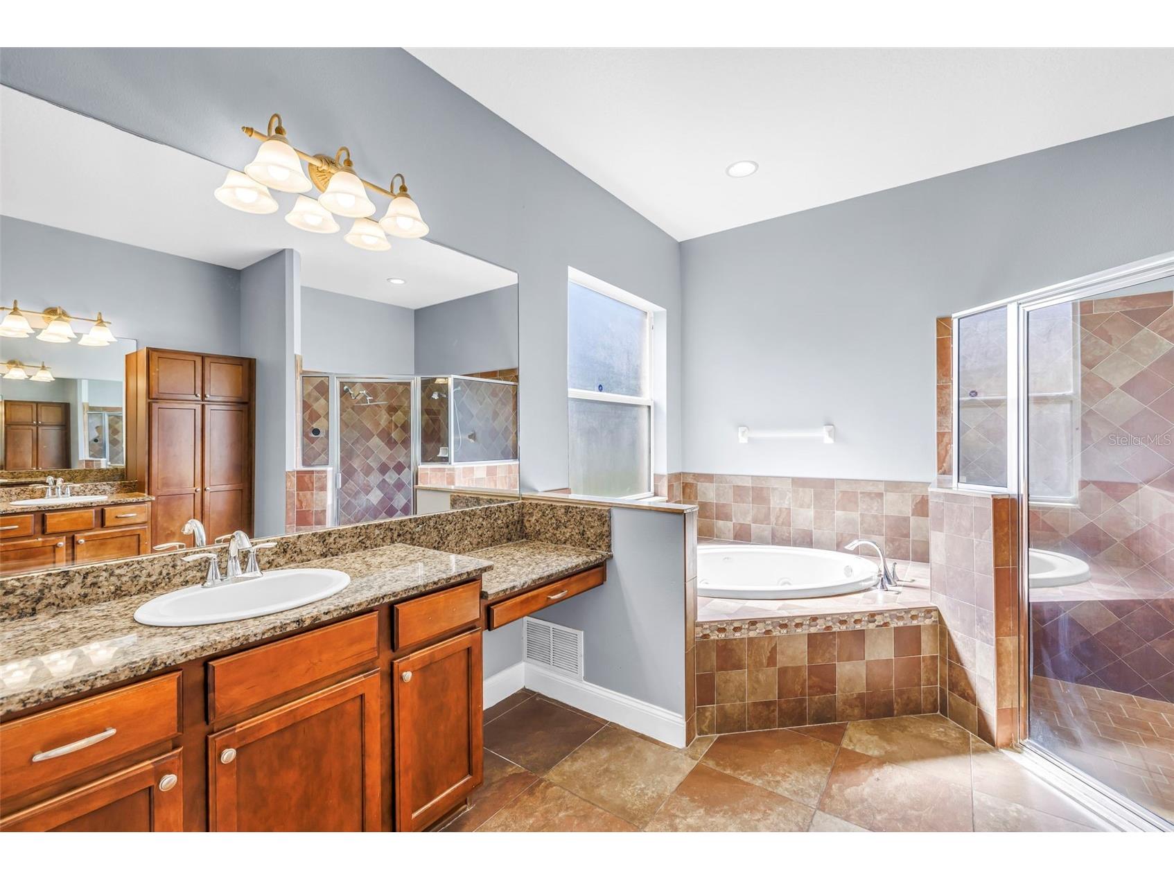 27405 Sora Boulevard Wesley Chapel FL 33544 W7887326 image9