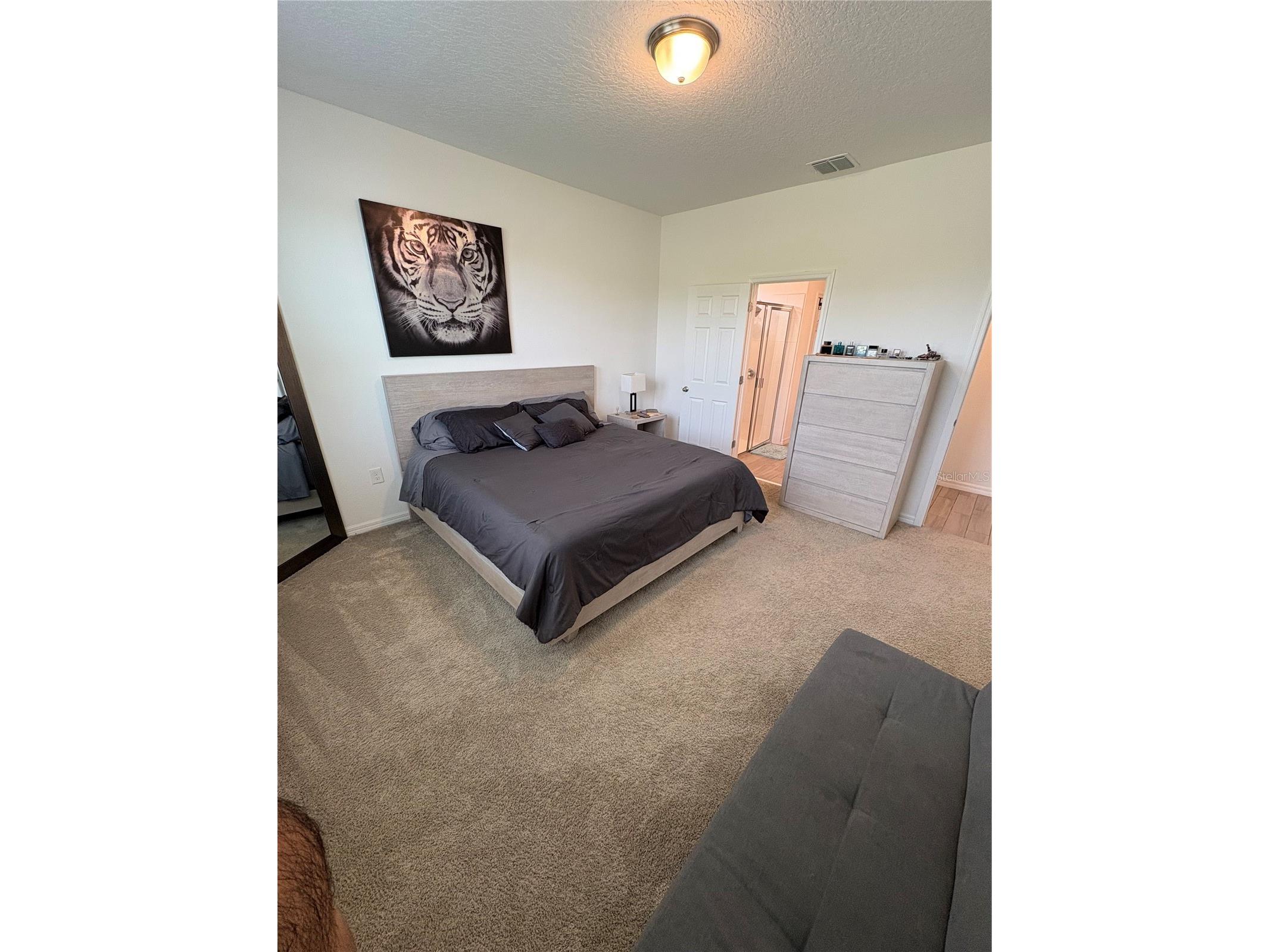2741 Neverland Drive New Smyrna Beach FL 32168 O6323452 image13