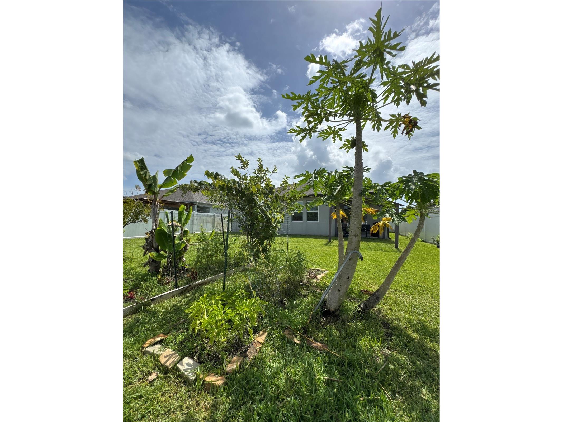 2741 Neverland Drive New Smyrna Beach FL 32168 O6323452 image43