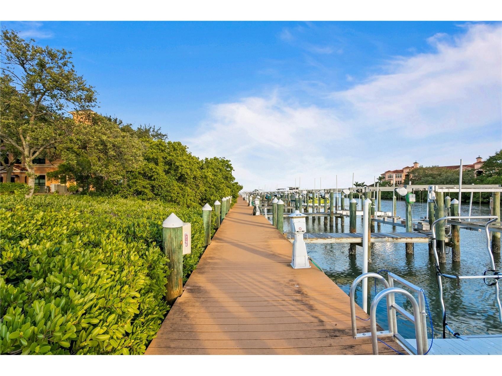 2741 Via Cipriani #914A Clearwater FL 33764 - LARGO INLET TB8503195 image60