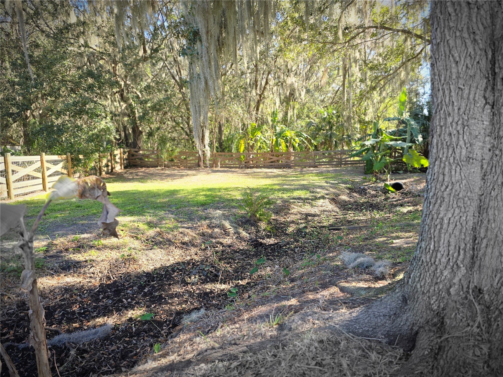 27410 Yalaha Cut Off Road Yalaha FL 34797 O6373027 image28