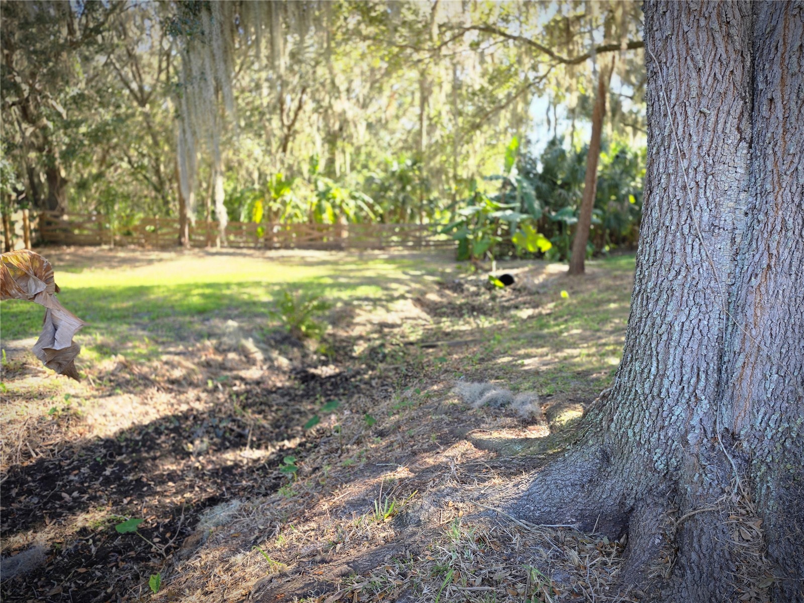 27410 Yalaha Cut Off Road Yalaha FL 34797 O6373027 image30