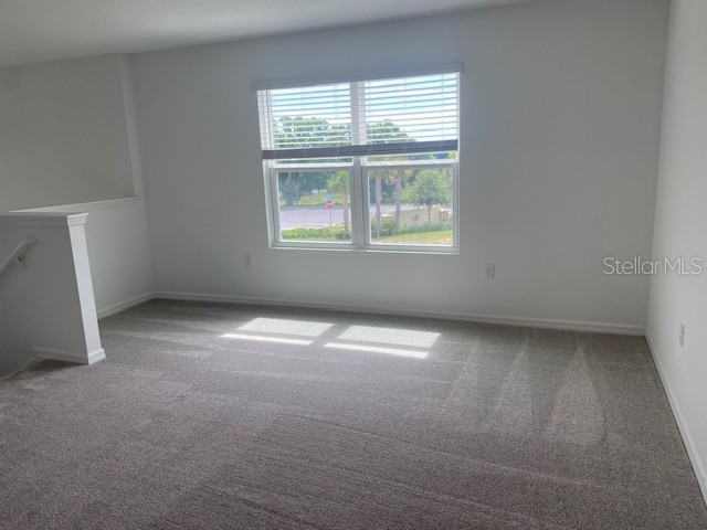 27412 Black Kite Avenue Howey In The Hills FL 34737 O6414539 image6