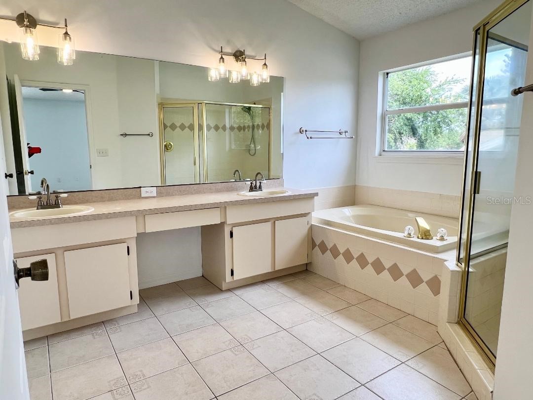 27416 Breakers Drive Wesley Chapel FL 33544 TB8458657 image21