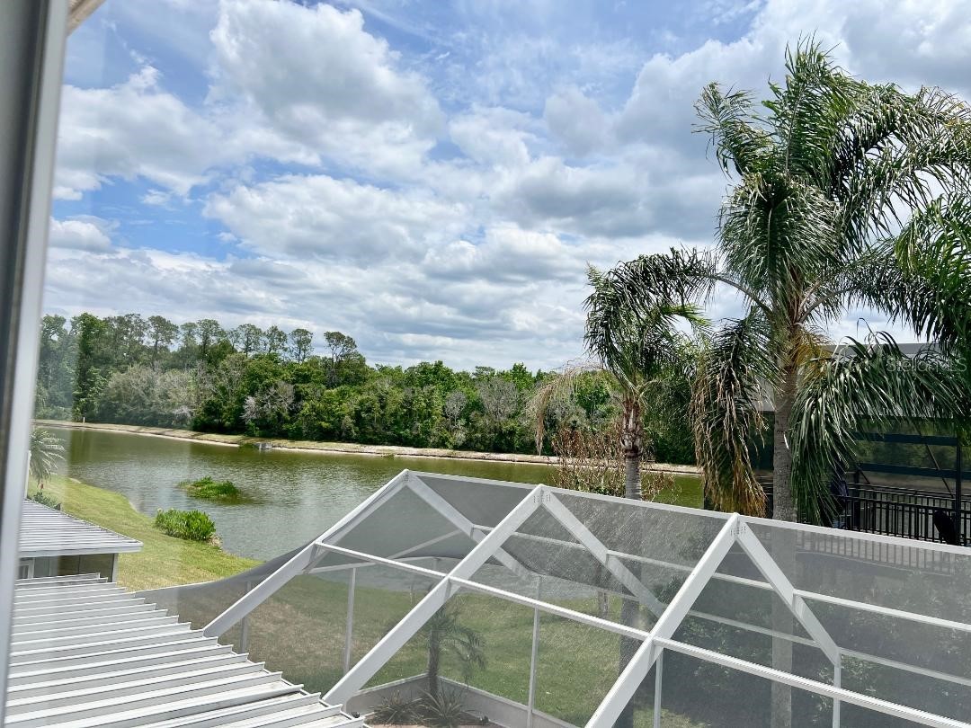 27416 Breakers Drive Wesley Chapel FL 33544 TB8458657 image25