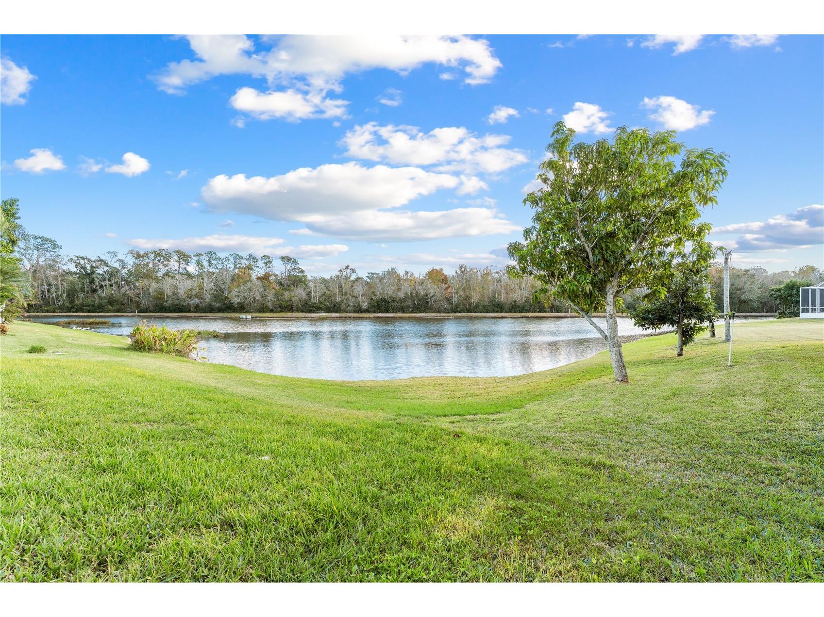 27416 Breakers Drive Wesley Chapel FL 33544 TB8458657 image39