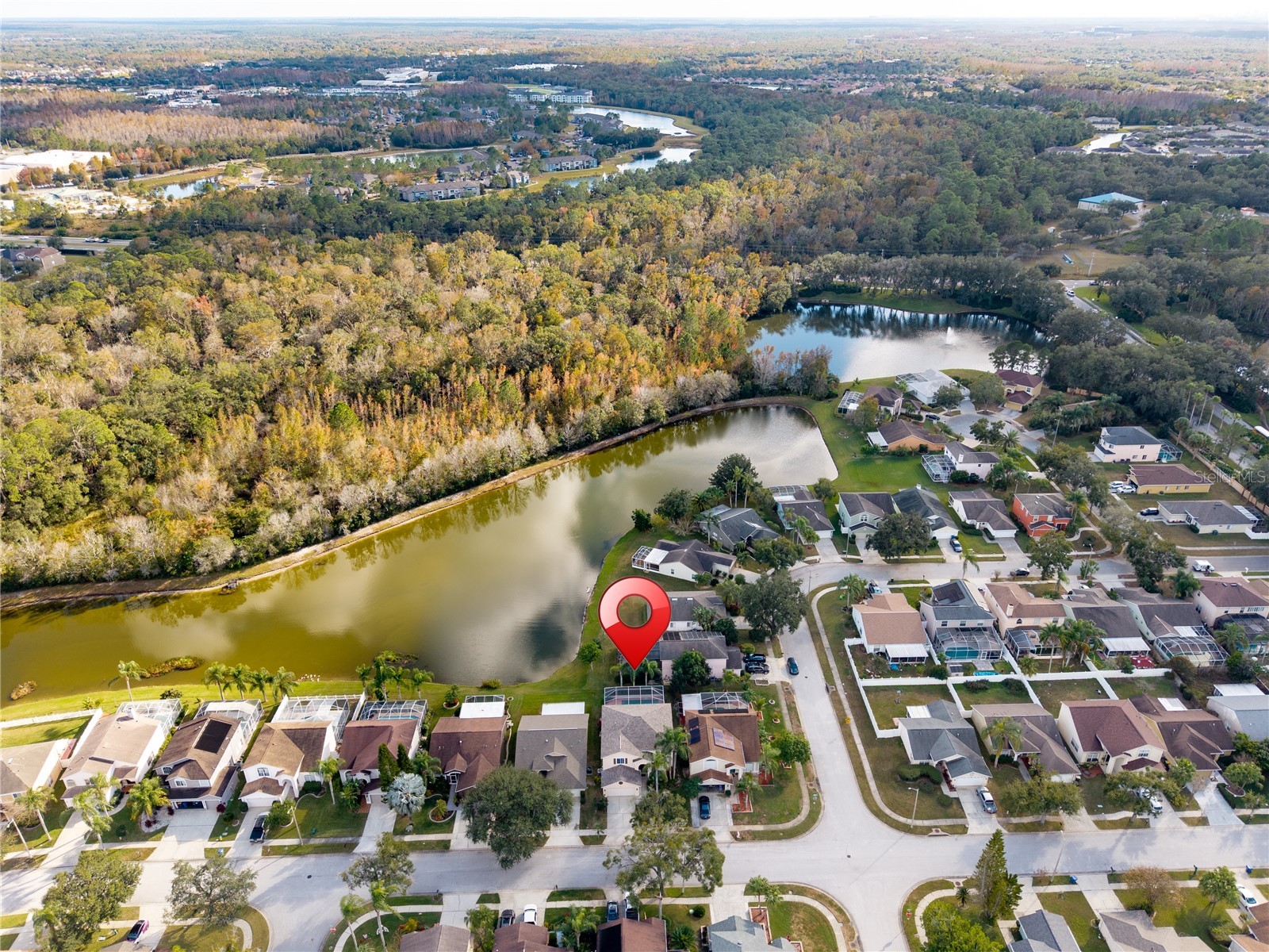 27416 Breakers Drive Wesley Chapel FL 33544 TB8458657 image44