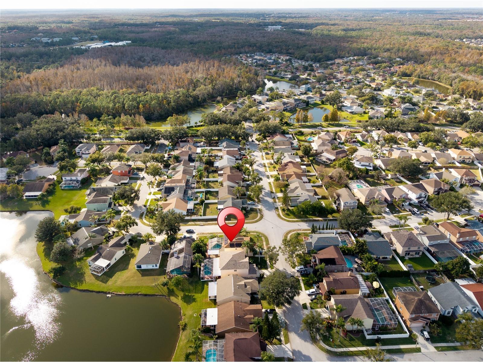 27416 Breakers Drive Wesley Chapel FL 33544 TB8458657 image46