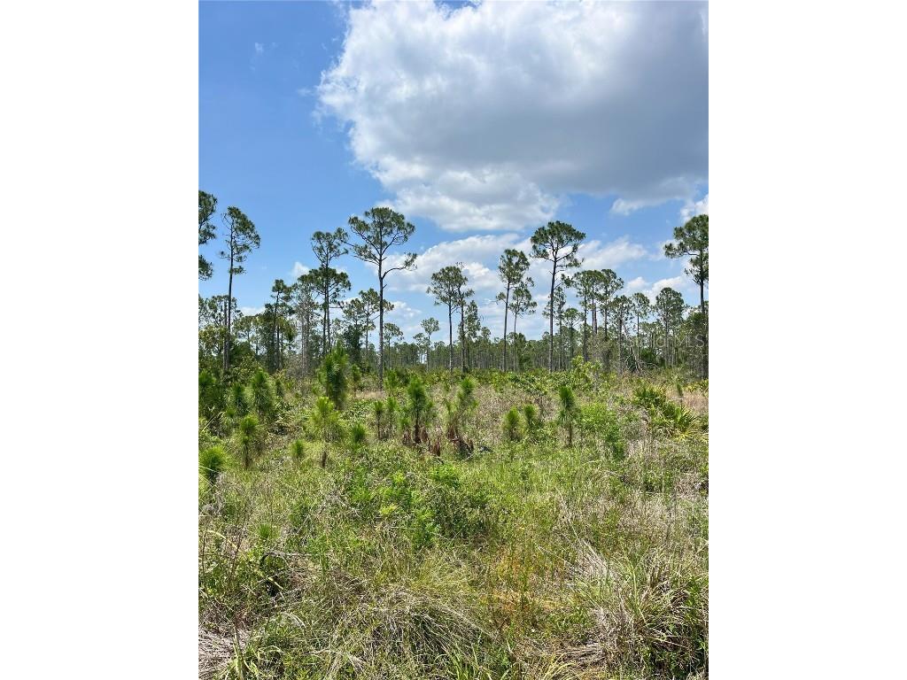 27418 Las Lomas Drive Punta Gorda FL 33955 C7475276 image1