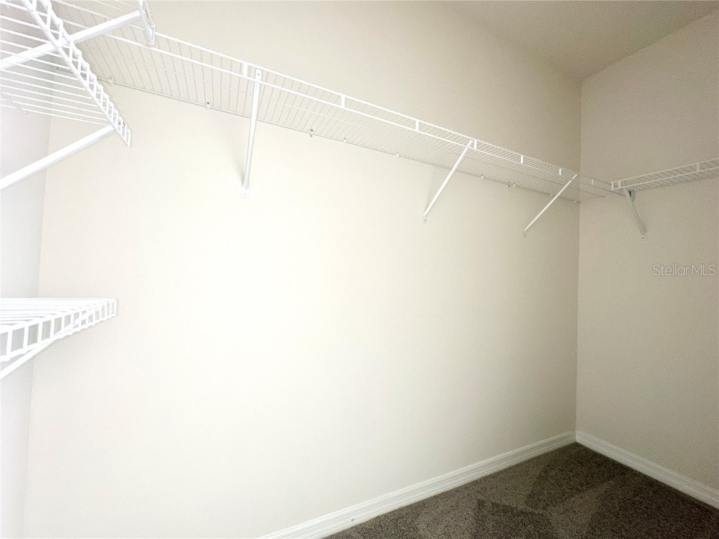 2742 Puffin Place Davenport FL 33837 TB8341952 image22