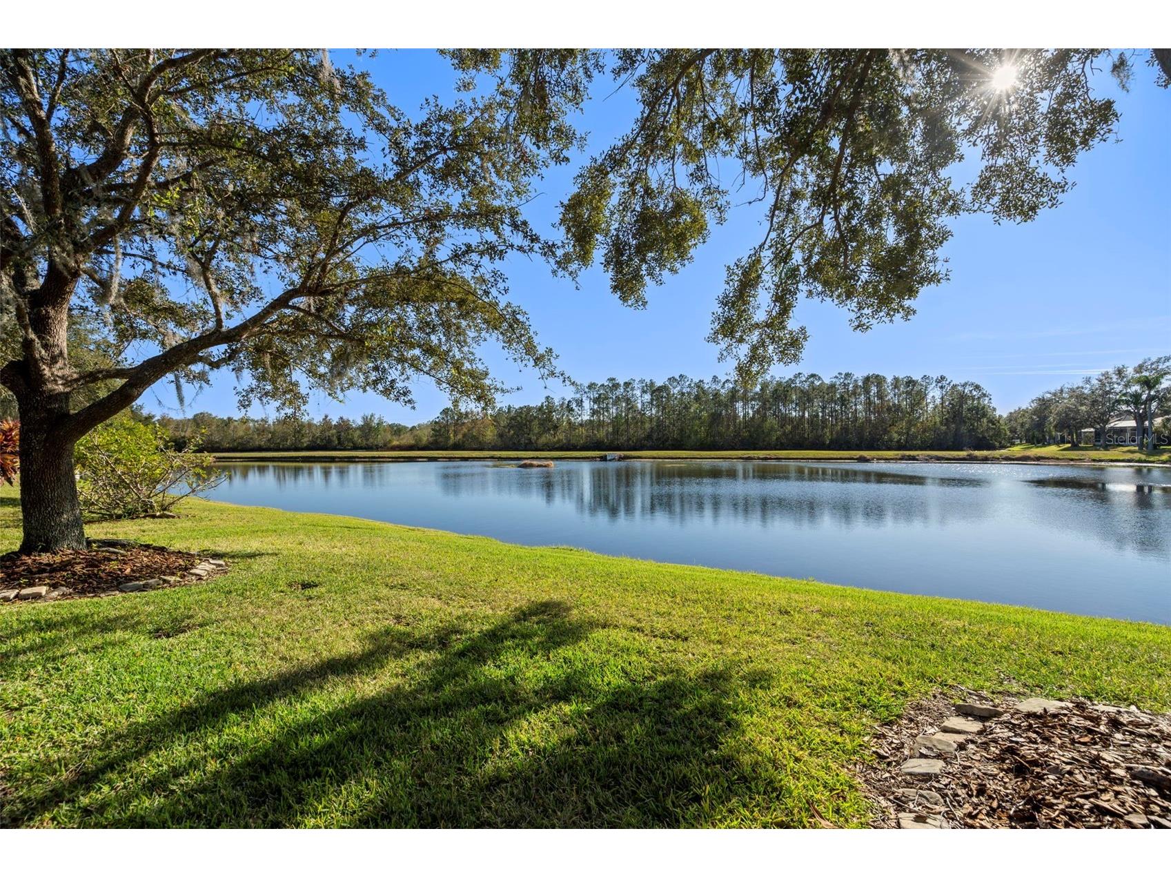 27422 Edenfield Drive Wesley Chapel FL 33544 TB8476724 image3