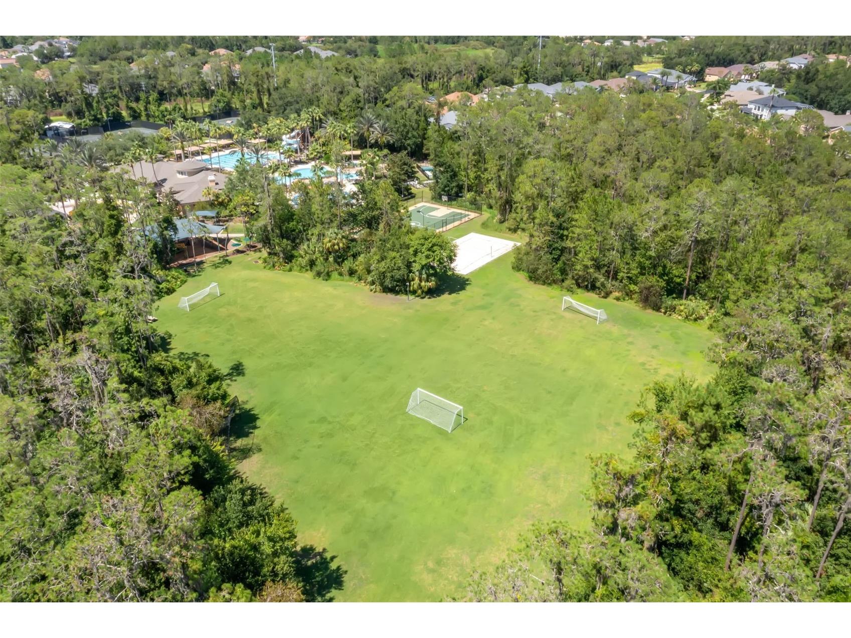 27422 Edenfield Drive Wesley Chapel FL 33544 TB8476724 image31