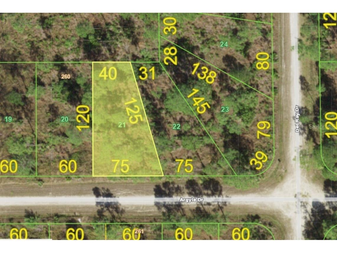 27428 Argyle Drive Punta Gorda FL 33955 D6125585 image1