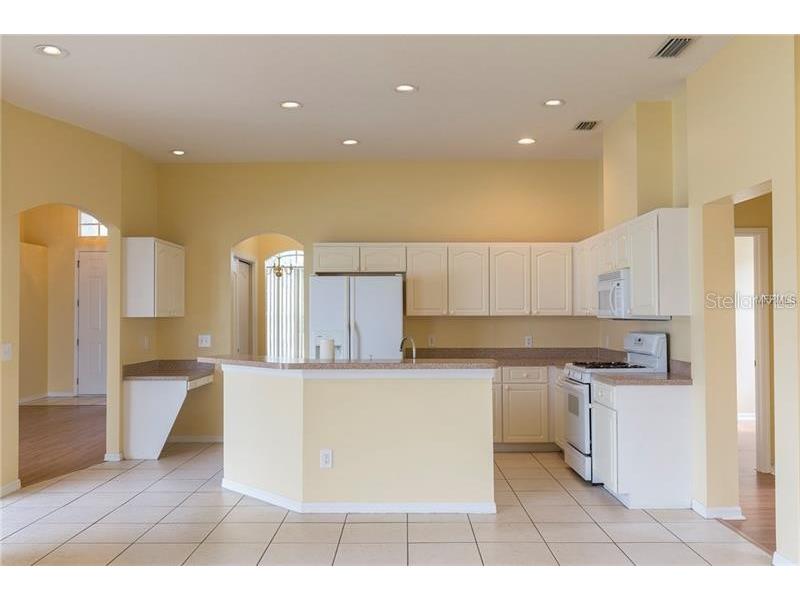 2743 Abbey Grove Drive Valrico FL 33594 TB8428210 image5